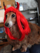 /usersfile/P-042 Neon Red/P-042 Neon Red_F1.jpg